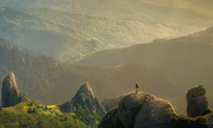 article thumb 20