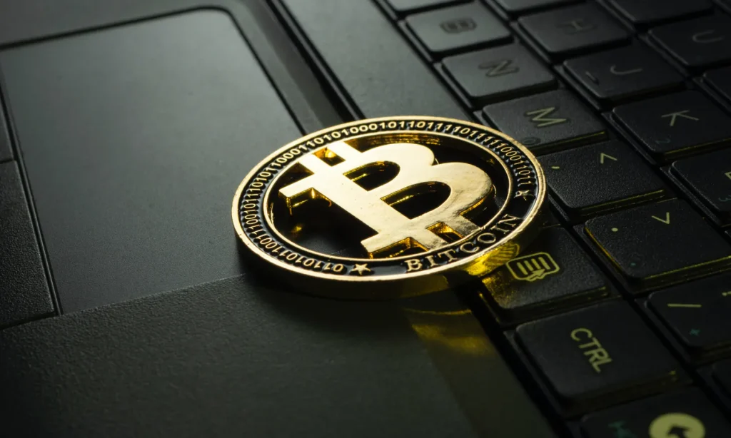 article thumb 28